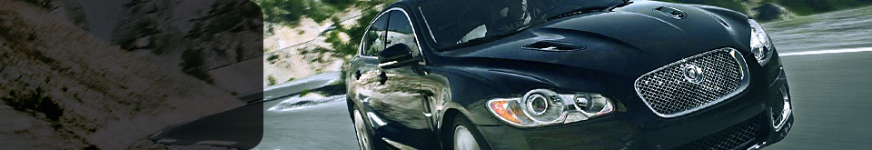 Automotive surface coatings